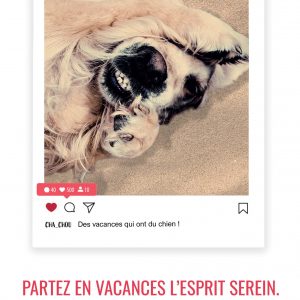 SteffieSciarani_InDesign3