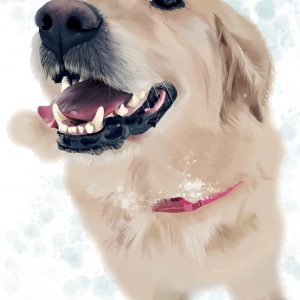 SteffieSciarani_Photoshop1